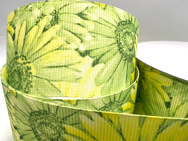 Ruy băng in chuyển nhiệt